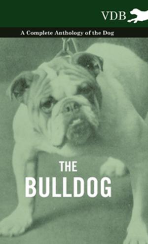 bigCover of the book The Bulldog - A Complete Anthology of the Dog - by 