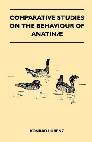 Book cover of Comparative Studies on the Behaviour of Anatinae