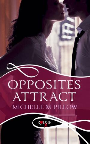 bigCover of the book Opposites Attract: A Rouge Erotic Romance by 