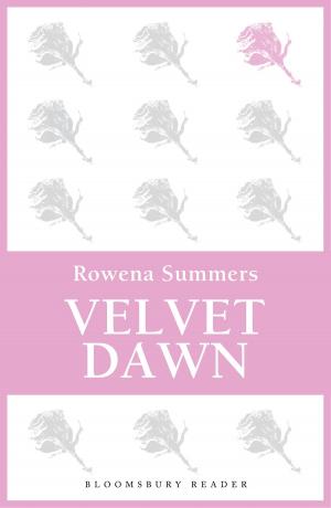 Book cover of Velvet Dawn