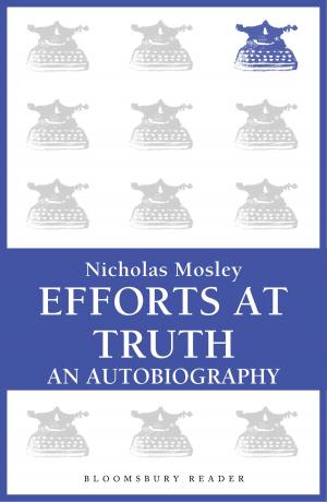 Cover of the book Efforts at Truth: An Autobiography by Jonathan S. Marion, Jerome W. Crowder