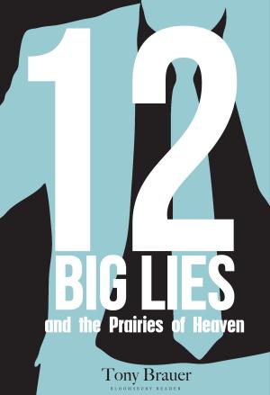 Cover of the book 12 Big Lies and the Prairies of Heaven by Joseph O'Connor, Andrea Lages