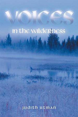 Cover of the book Voices in the Wilderness by Ernest E. Dean, Jacob O. Gurley III