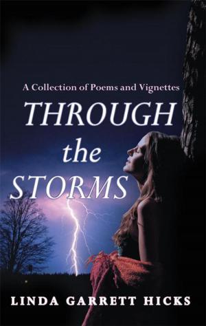 Cover of the book Through the Storms by Debra Brawner