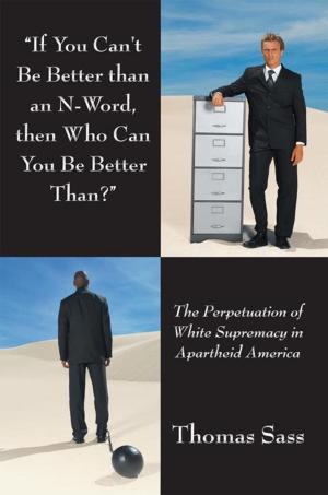 bigCover of the book "If You Can't Be Better Than an N-Word, Then Who Can You Be Better Than?" by 