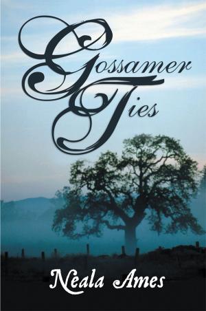 Cover of the book Gossamer Ties by Deborah Wells