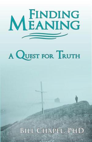Cover of the book Finding Meaning by Herbert M. Barber, Jr.