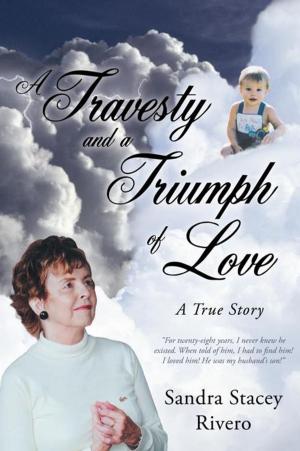Cover of the book A Travesty and a Triumph of Love by David Muus Martinson