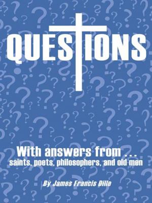 Cover of the book Questions by Robert I. Newell MMGT