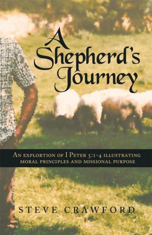 Cover of the book A Shepherd's Journey by Robert I. Newell MMGT