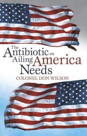 Cover of the book The Antibiotic an Ailing America Needs by Tone Allen