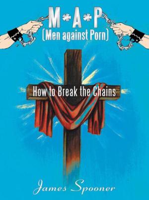 Cover of the book M*A*P (Men Against Porn) by Melody Tilenis