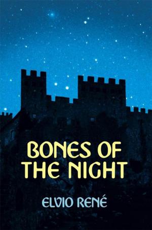 Cover of the book Bones of the Night by E. James Dickey