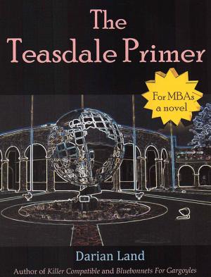 Book cover of The Teasdale Primer (For MBAs)