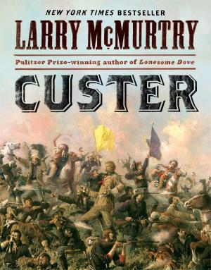 Cover of the book Custer by Denise Domning