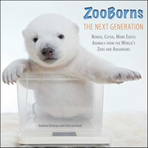 Book cover of ZooBorns The Next Generation