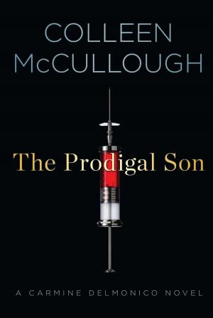 bigCover of the book The Prodigal Son by 