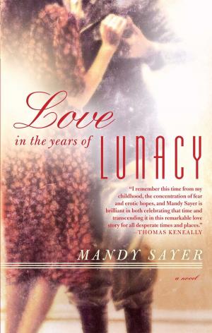 Cover of the book Love in the Years of Lunacy by Indu Sundaresan