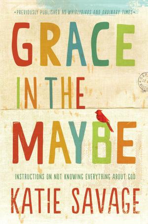 Cover of the book Grace in the Maybe by Andy Byrd, Sean Feucht, Jeremy Bardwell, Brian Brennt, Jake Hamilton, Jason Hershey, Rick Pino, Amy Sollars, Taylor Stutts