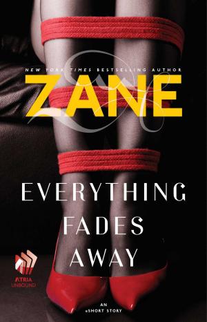 Cover of the book Everything Fades Away by Philip Jolowicz