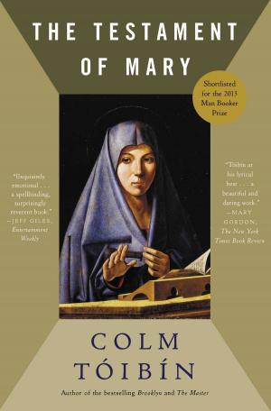 Cover of the book The Testament of Mary by Andrew Pyper