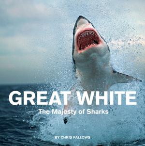 Cover of the book Great White by Beth Ferry