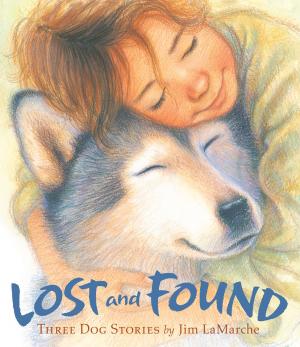 Cover of the book Lost and Found by Bruce Rogers