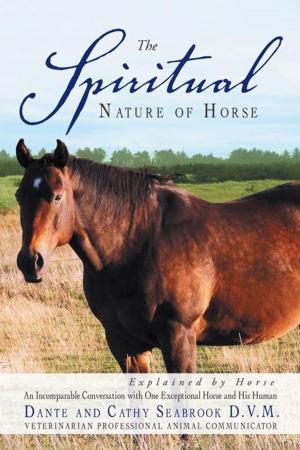 Cover of the book The Spiritual Nature of Horse Explained by Horse by Ed Geraty