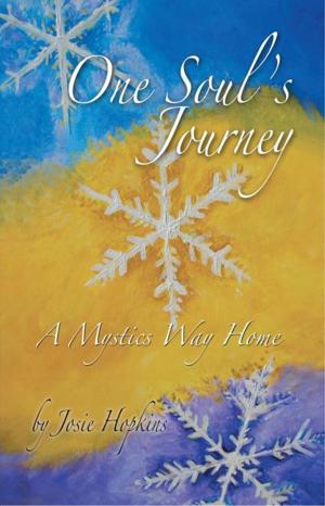 Cover of the book One Soul's Journey, a Mystic's Way Home. by Patricia Kelbaugh