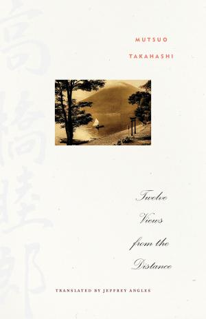 Book cover of Twelve Views from the Distance