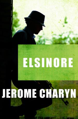 Book cover of Elsinore