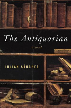 Cover of the book The Antiquarian by Sergio Vila-Sanjuán