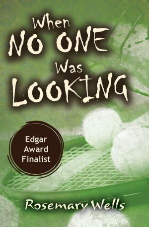 Cover of the book When No One Was Looking by Joyce Sweeney
