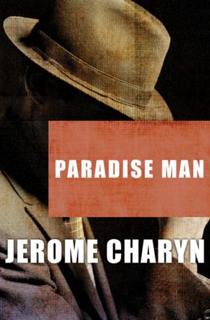Book cover of Paradise Man