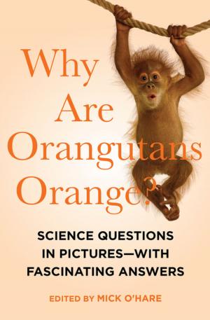 Cover of the book Why Are Orangutans Orange? by Paul Abel, Brian May