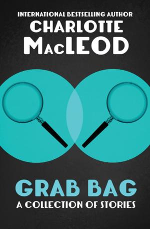 Cover of the book Grab Bag: A Collection of Stories by Matthew Betley