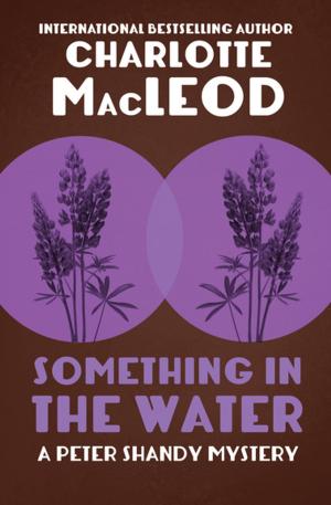 bigCover of the book Something in the Water by 