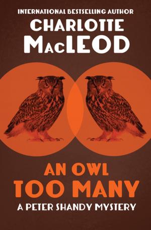 Cover of the book An Owl Too Many by Ellis Peters