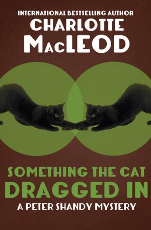 Cover of the book Something the Cat Dragged In by R. L.  Anderson