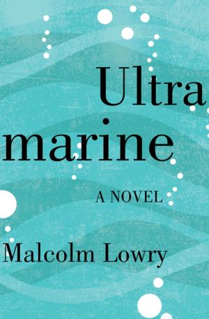 Cover of the book Ultramarine by Stanley Elkin