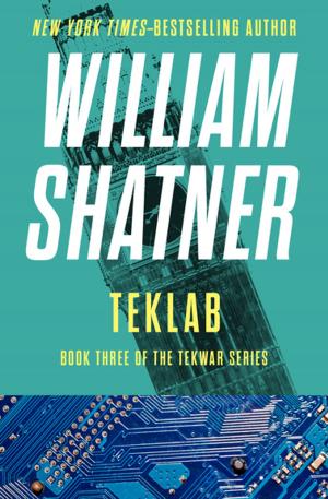 Cover of the book TekLab by Tyro Vogel