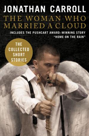 Book cover of The Woman Who Married a Cloud