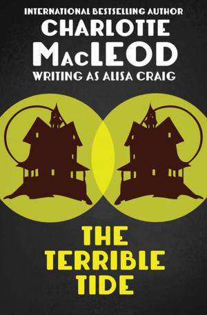Cover of the book The Terrible Tide by Bill Fitts