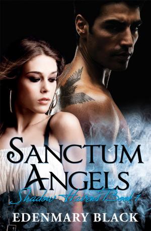Cover of Sanctum Angels Shadow Havens Book 1