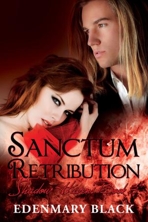 Book cover of Sanctum Retribution: Shadow Havens Book 3