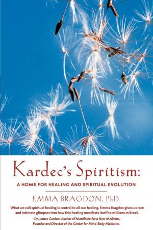 Book cover of Kardec's Spiritism: A Home for Healing and Spiritual Evolution