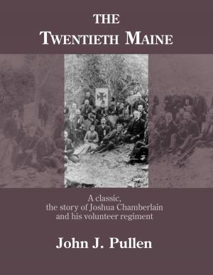Book cover of The Twentieth Maine