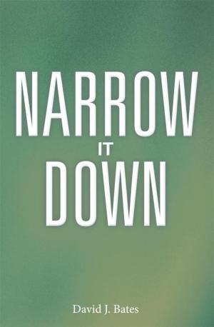 Book cover of Narrow It Down