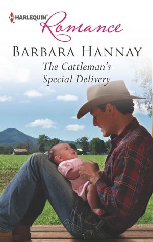 Cover of the book The Cattleman's Special Delivery by J.L. Mac