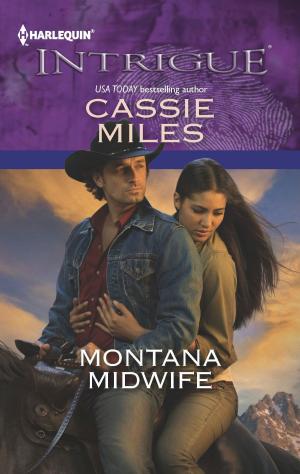 Book cover of Montana Midwife